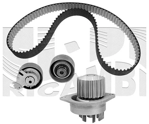 Water Pump & Timing Belt Kit (WKFI224)