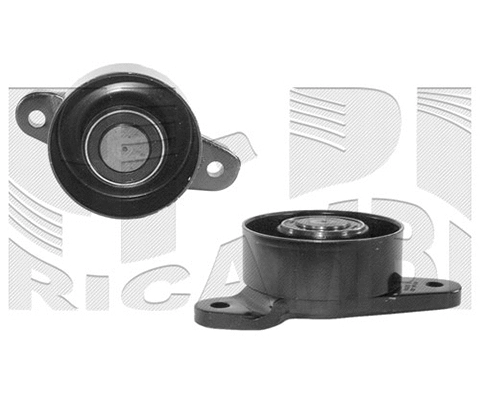 Belt Tensioner, V-ribbed belt (FI5350)