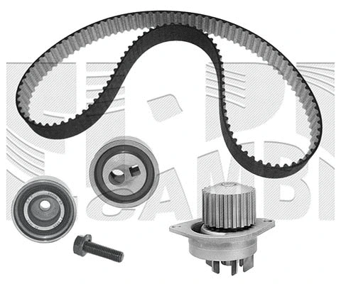 Water Pump & Timing Belt Kit (WKFI041)