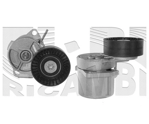 Belt Tensioner, V-ribbed belt (FI5090)