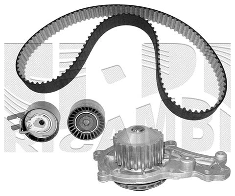 Water Pump & Timing Belt Kit (WKFI214)