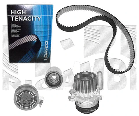 Water Pump & Timing Belt Kit (WKFI306B)