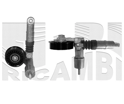 Belt Tensioner, V-ribbed belt (FI8730)