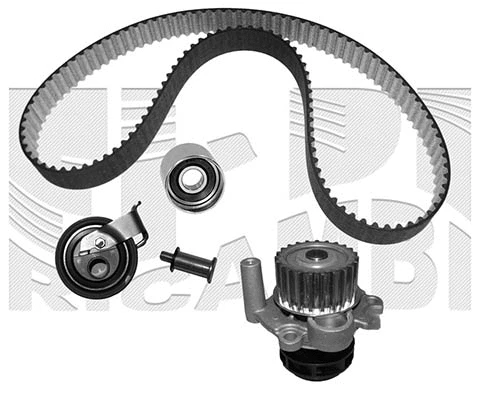 Water Pump & Timing Belt Kit (WKFI389B)