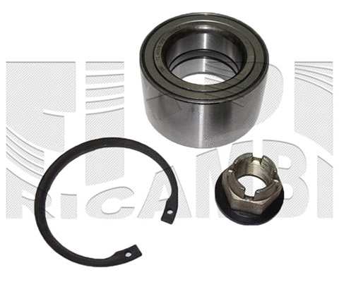Wheel Bearing Kit (RK3079)