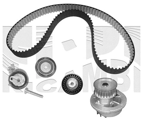 Water Pump & Timing Belt Kit (WKFI248)