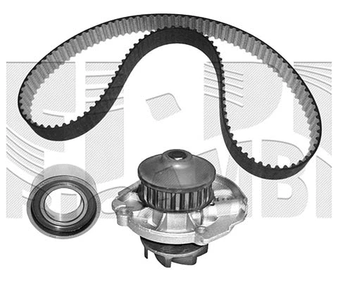 Water Pump & Timing Belt Kit (WKFI186)
