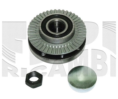 Wheel Bearing Kit (RK9060)