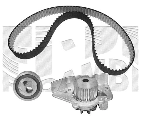 Water Pump & Timing Belt Kit (WKFI014B)
