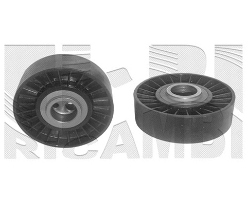 Tensioner Pulley, V-ribbed belt (FI3950)