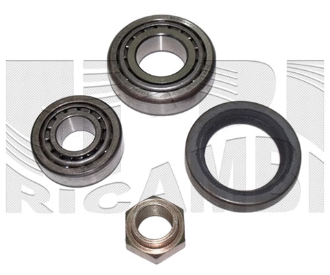 Wheel Bearing Kit (RK9012)