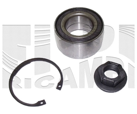 Wheel Bearing Kit (RK7810)