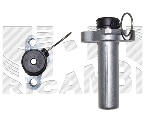 Vibration Damper, timing belt (FI20530)
