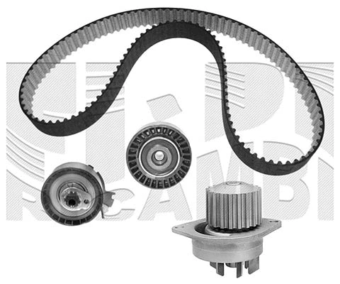 Water Pump & Timing Belt Kit (WKFI320)
