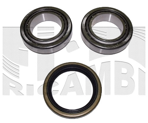 Wheel Bearing Kit (RK2302)