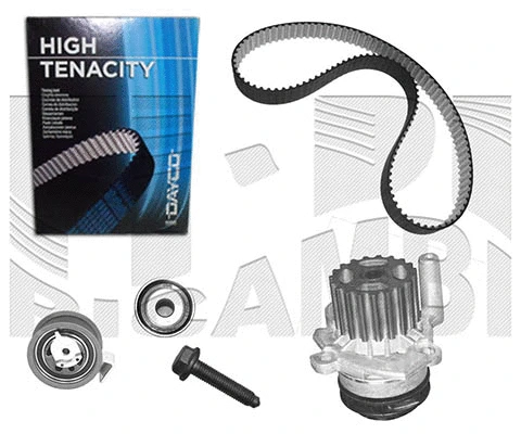 Water Pump & Timing Belt Kit (WKFI312)