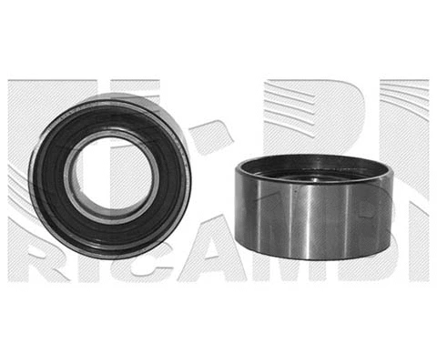 Deflection/Guide Pulley, timing belt (FI0210)