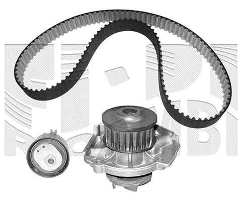 Water Pump & Timing Belt Kit (WKFI179)