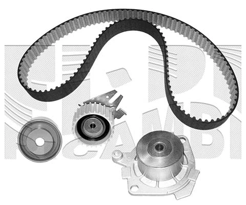 Water Pump & Timing Belt Kit (WKFI204)