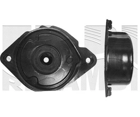 Belt Tensioner, V-ribbed belt (FI14650)