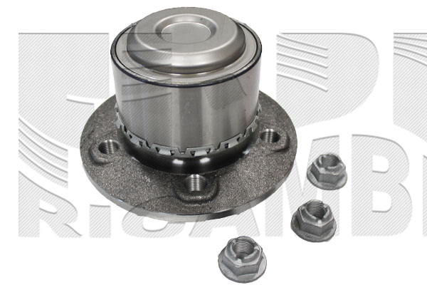 Wheel Bearing Kit (RK6831)