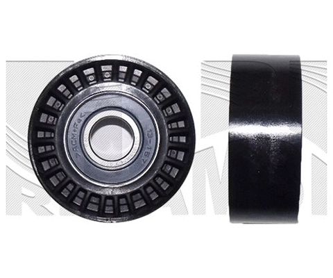 Deflection/Guide Pulley, V-ribbed belt (FI21420)
