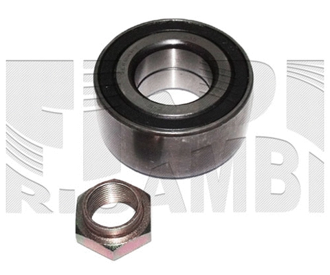 Wheel Bearing Kit (RK1713)