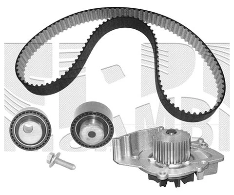 Water Pump & Timing Belt Kit (WKFI187)