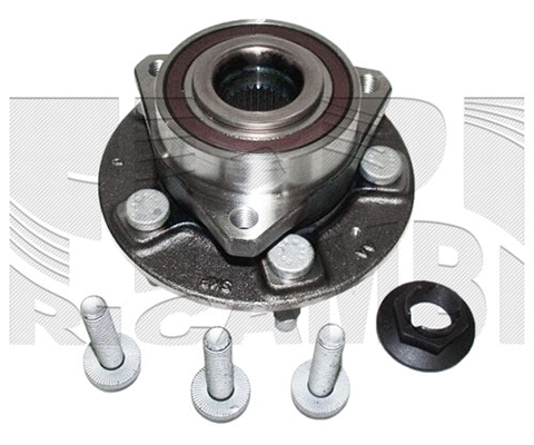Wheel Bearing Kit (RK4493)