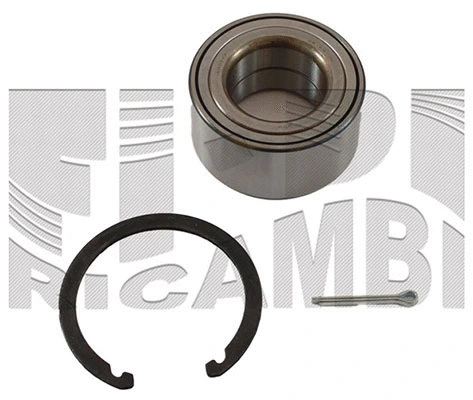 Wheel Bearing Kit (RK1984)