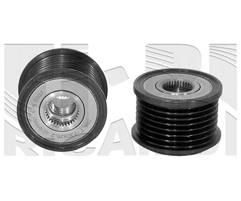 Alternator Freewheel Clutch (FI9680)