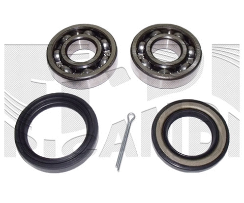 Wheel Bearing Kit (RK2202)