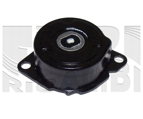 Belt Tensioner, V-ribbed belt (FI20260)