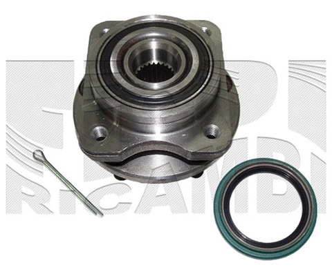 Wheel Bearing Kit (RK7001)