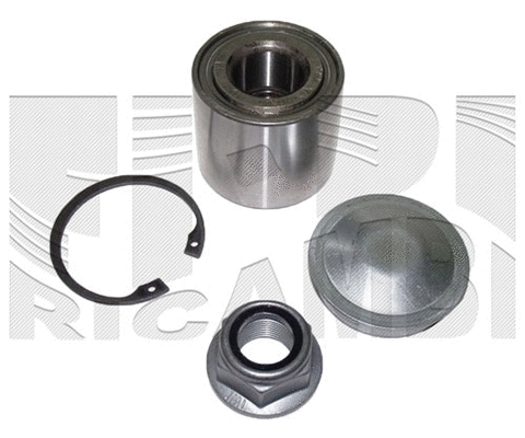 Wheel Bearing Kit (RK3097)