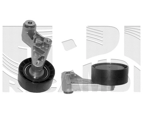 Tensioner Pulley, V-ribbed belt (FI6300)