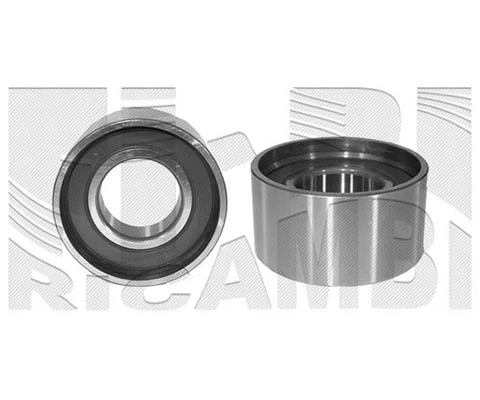 Tensioner Pulley, timing belt (FI10500)