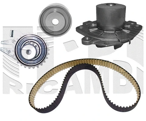 Water Pump & Timing Belt Kit (WKFI559)