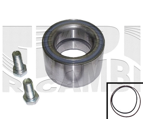 Wheel Bearing Kit (RK9111)