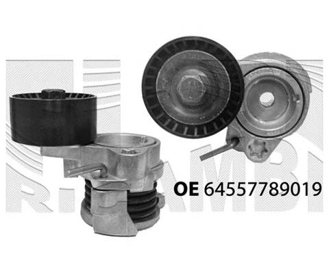 Belt Tensioner, V-ribbed belt (FI13010)