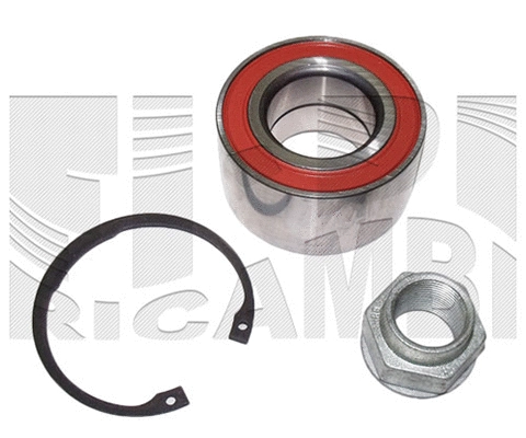 Wheel Bearing Kit (RK9007)