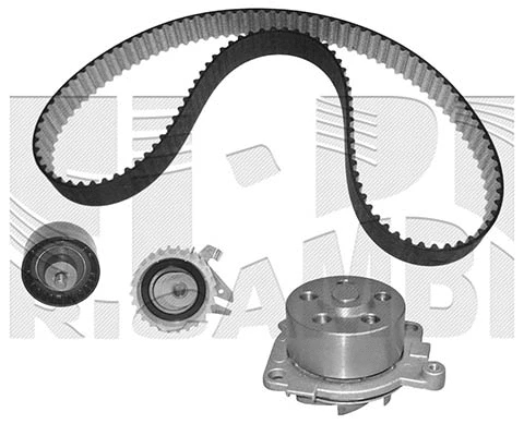 Water Pump & Timing Belt Kit (WKFI222)