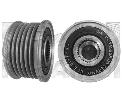 Alternator Freewheel Clutch (FI14090)