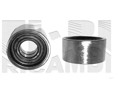 Deflection/Guide Pulley, timing belt (FI0150)