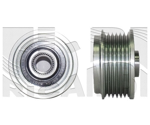 Alternator Freewheel Clutch (FI21770)
