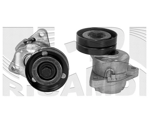 Belt Tensioner, V-ribbed belt (FI2910)