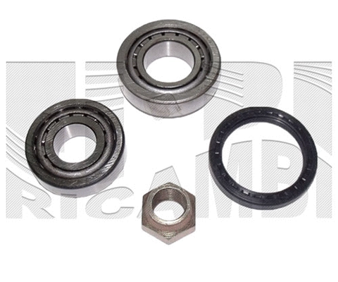 Wheel Bearing Kit (RK5021)