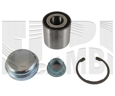Wheel Bearing Kit (RK6818)