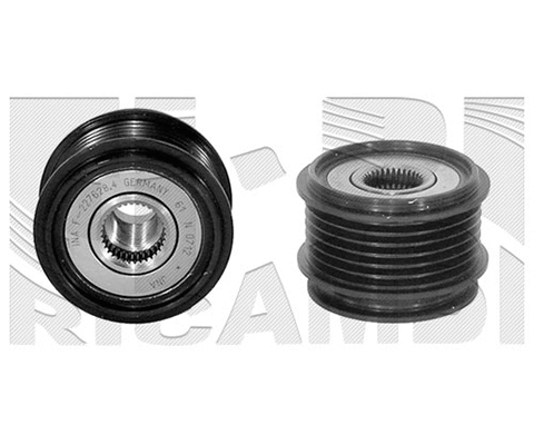 Alternator Freewheel Clutch (FI9570)