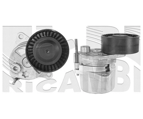 Belt Tensioner, V-ribbed belt (FI5450)